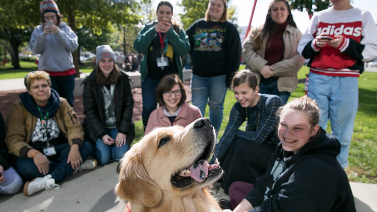 2019 All Faculty Staff Slideshow 20181016 Wellness Week Therapy Dogs 08 63