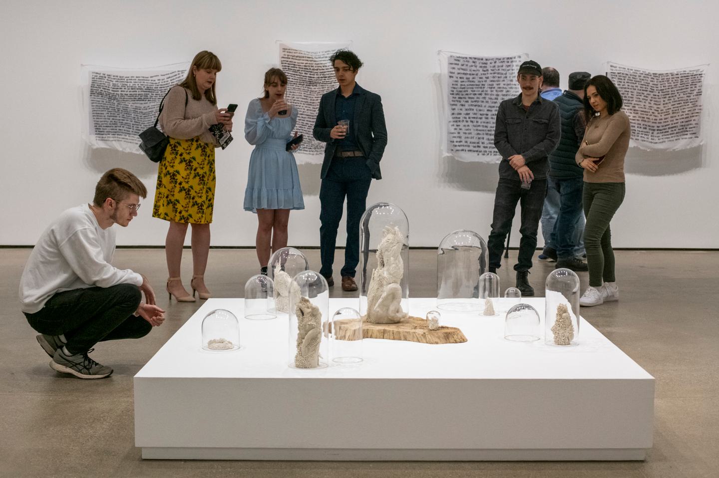 CCAD MFA Show