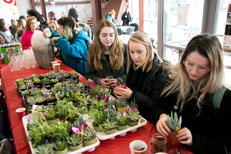 alumni-students-succulents-card-group-230825