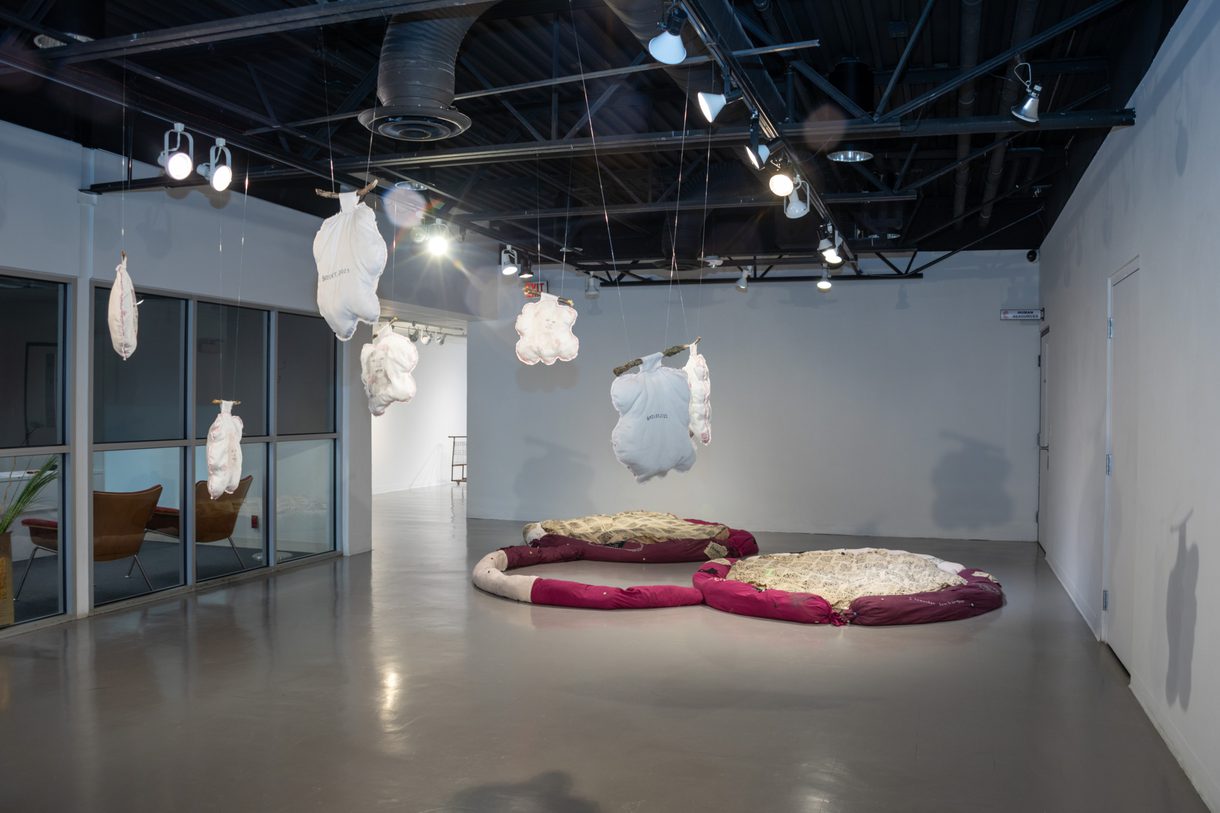 Soft sculpture thesis exhibition created by Bailey Hammond, an undergraduate in Fine Arts at CCAD.