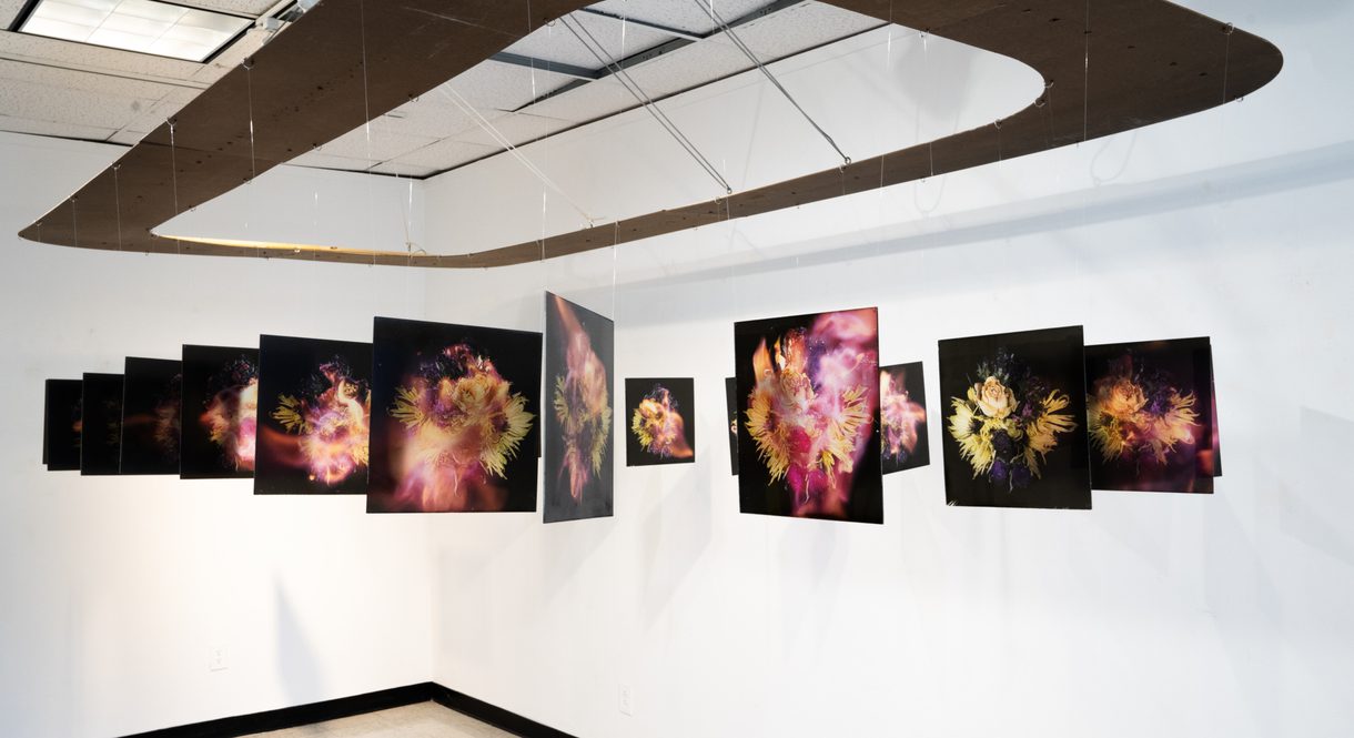 Capstone project "Reincarnation" featuring multiple images with pink, yellow, and orange abstract figures, by a Columbus College of Art & Design Photography student.