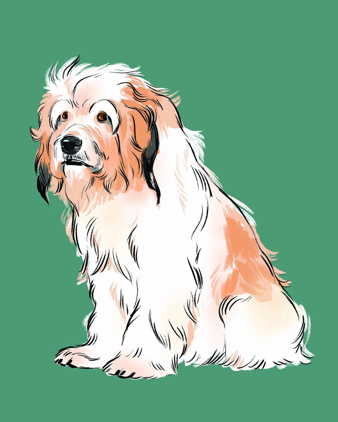 Belland Otis